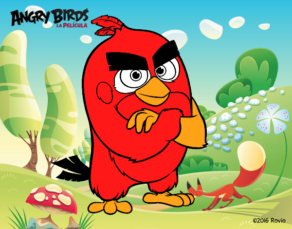 Red de Angry Birds