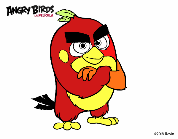 Red de Angry Birds