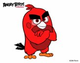 Red de Angry Birds