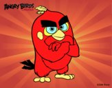 Red de Angry Birds