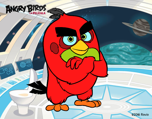 Red de Angry Birds