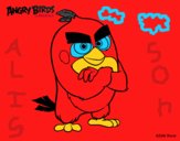 Red de Angry Birds