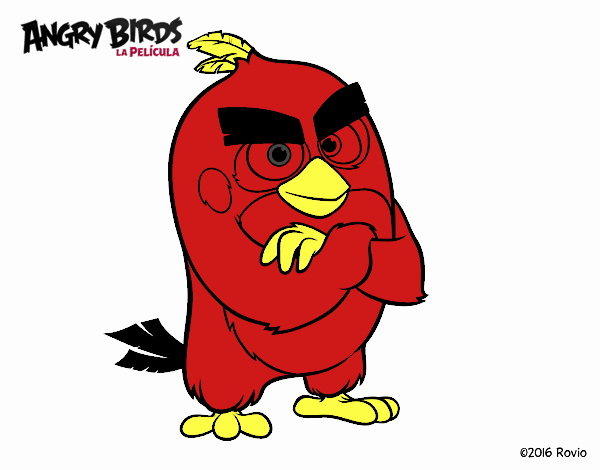 Red de Angry Birds