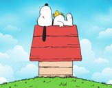 Snoopy durmiendo