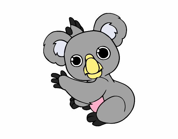 Un Koala