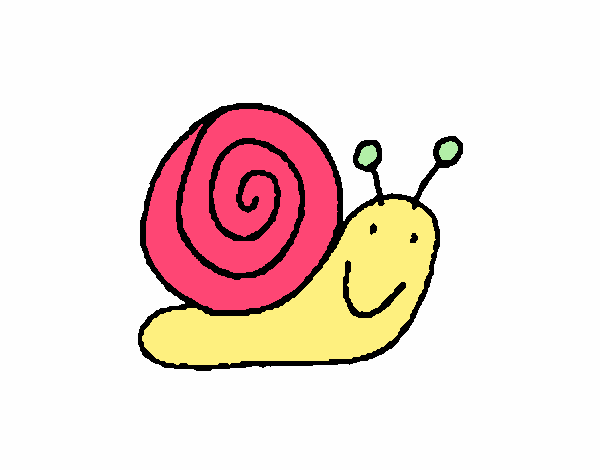 Caracol 4