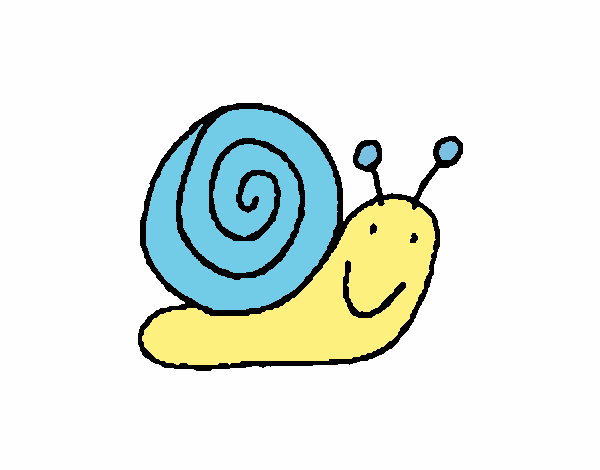 Caracol 4