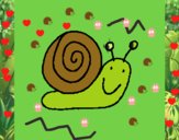 Caracol 4