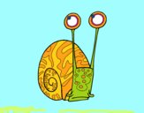 Caracol común