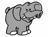 Elefante 6