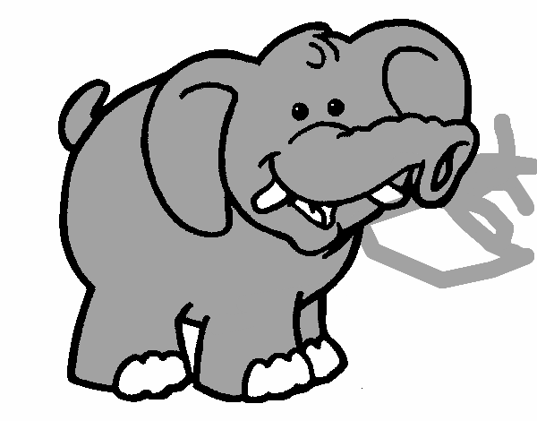 Elefante 6