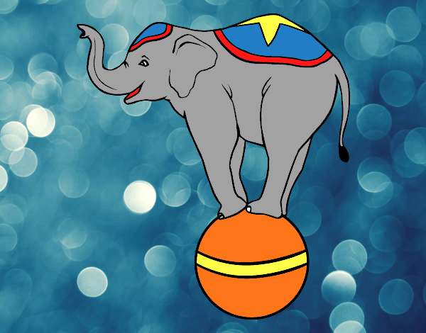 Elefante equilibrista