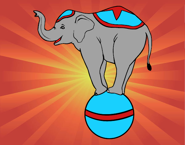 Elefante equilibrista