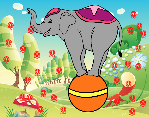 Elefante equilibrista