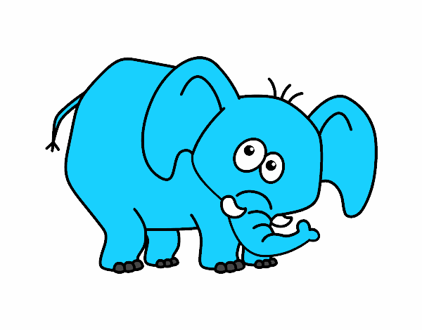 Elefante vergonzoso