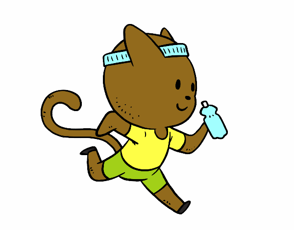 Gato runner