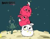 Las crias de Angry Birds