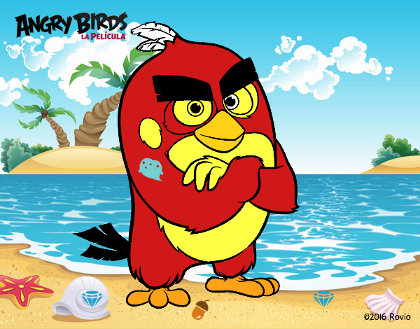 Red de Angry Birds