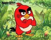 Red de Angry Birds