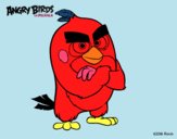 Red de Angry Birds