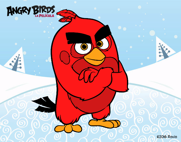 Red de Angry Birds