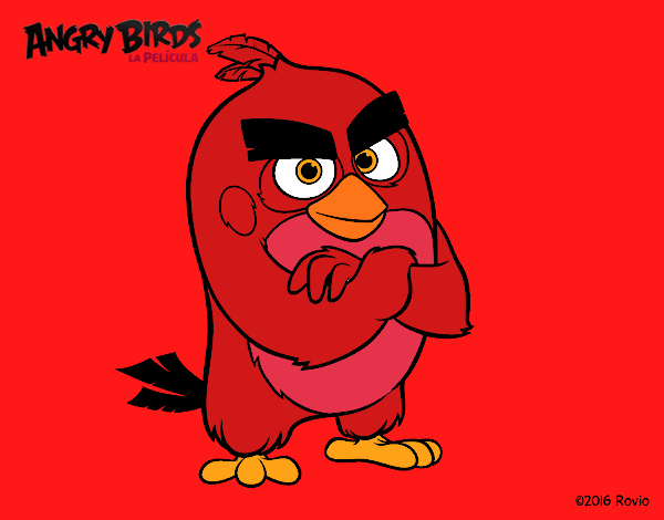 Red de Angry Birds