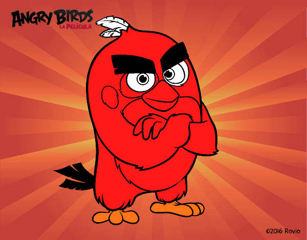 Red de Angry Birds