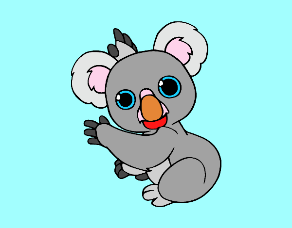 Un Koala