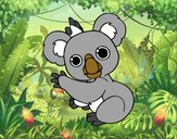 Un Koala