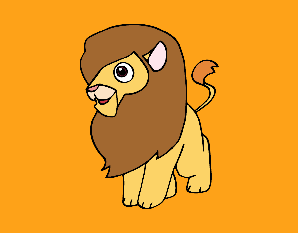 Un león