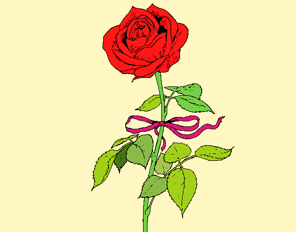 La Rosa de primavera