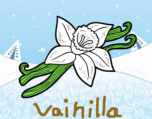 Vainilla