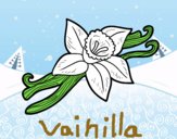 Vainilla