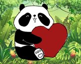 Amor Panda