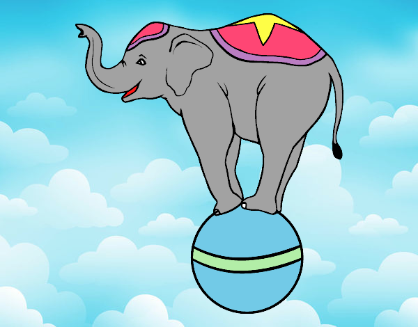 Elefante equilibrista