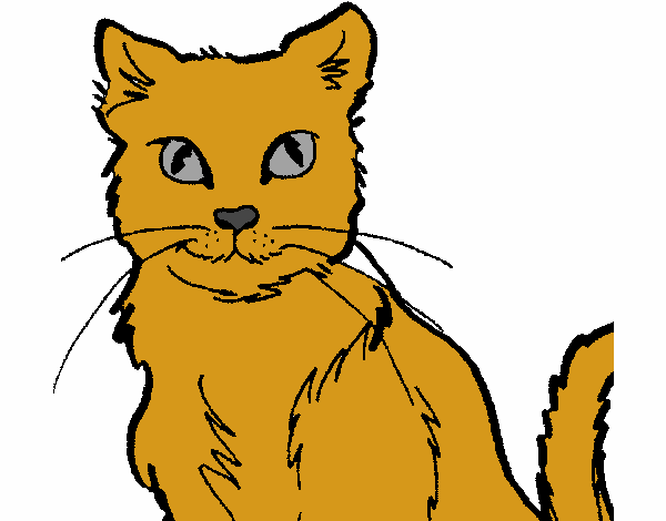 Dibujo Gato 2 pintado por diegopro
