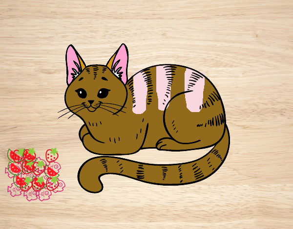 Dibujo Gato joven pintado por diegopro