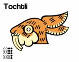 Dibujo Los días aztecas: el conejo Tochtli pintado por arenith