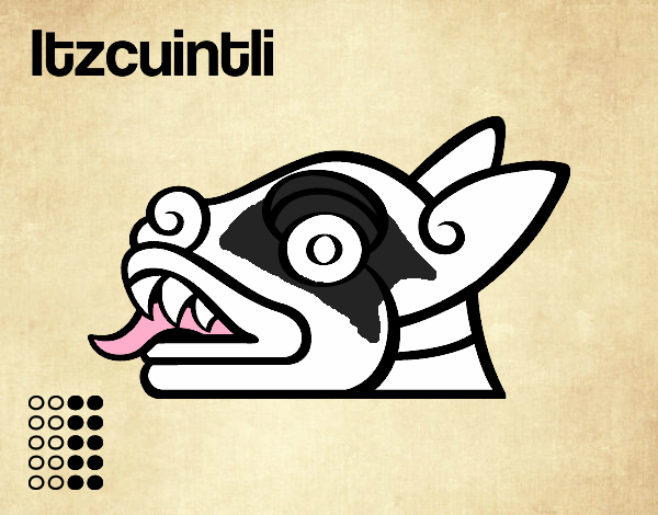 Los días aztecas: el perro Itzcuintli