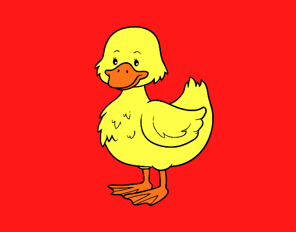 Patito de granja