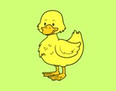 Patito de granja