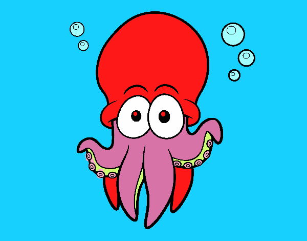 Pulpo rojo