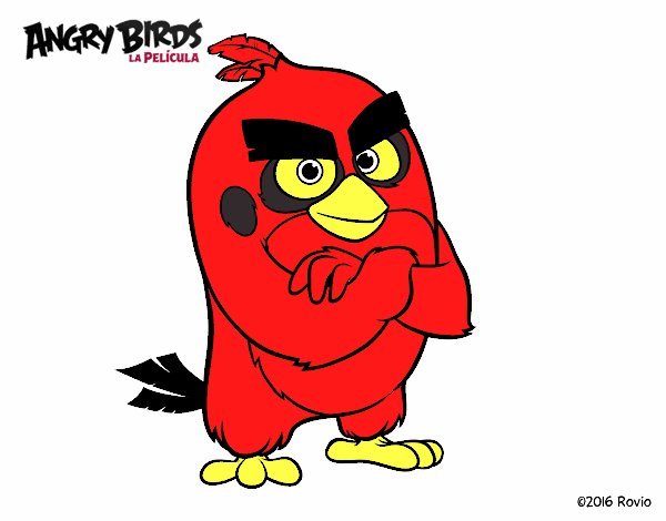 Red de Angry Birds