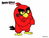 Red de Angry Birds