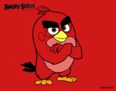 Red de Angry Birds