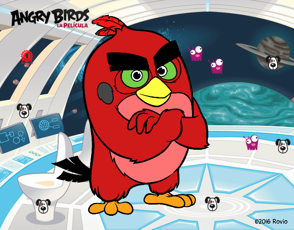 Red de Angry Birds