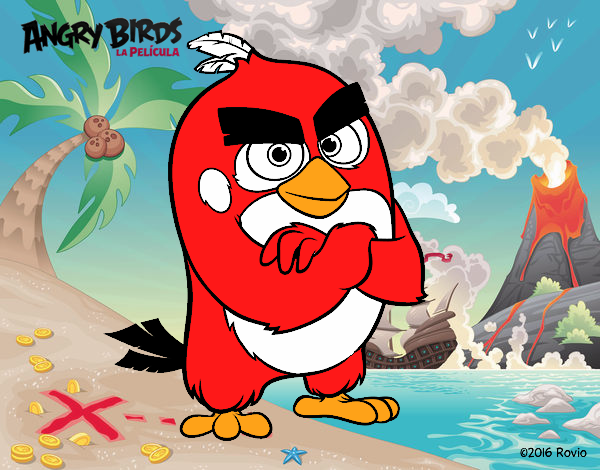 Red de Angry Birds