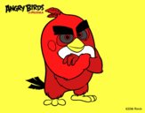 Red de Angry Birds