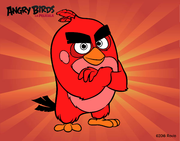 Red de Angry Birds