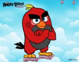 Red de Angry Birds